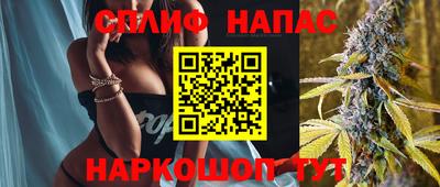 apvp Славгород