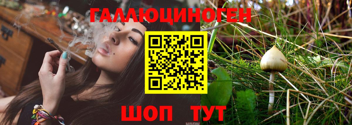 Нижнекамск  Галлюциногенные грибы мицелий  где купить наркотик  Вход с VPN 